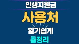 민생지원금 사용처 사용방법 총정리 – 다이소 GS25 키오스크 버스 지하철 가능? 불가능?