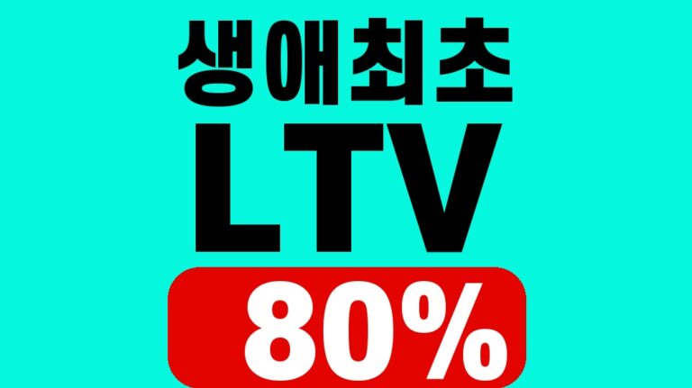 생애최초 LTV